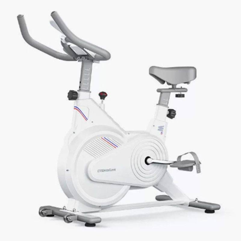 Leg Home Gym Workout - Indoor hometrainer, stille magnetische weerstandstrainer met