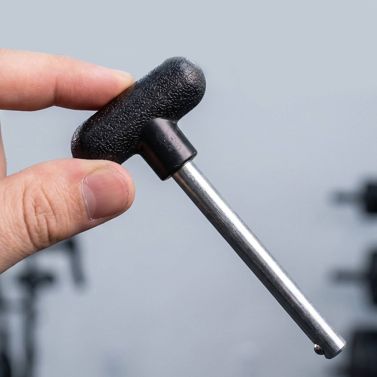 2 stuks zware gewichtspennen,  - Home Gym Equipment Set recensie en prijs